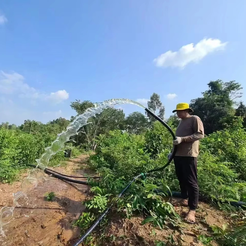 ahi pump 24v 300w 2.5m3/h 36m With Plastic Impeller Stainless Steel Brushless Deep Well Solar Submersible Pump Solar Water Pump