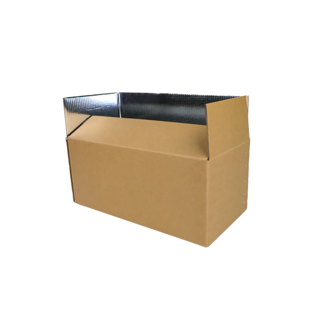 Wholesale Outdoor Corrugated Frozen Fresh Meal Cartons Vegetables Postal Moving Insulated Paper Boxes