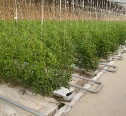 Small Indoor Vertical Hydroponic Petal Tower Growing System Hydroponic Plant Tower PC Sheet Cover Agricultural Farm Greenhouse