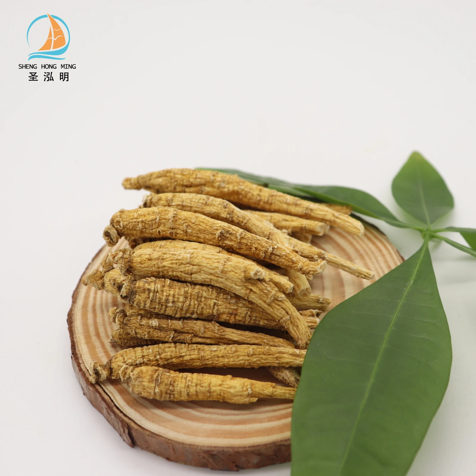 Wholesale Pure Natural Fresh American Ginseng panax quinquefolius with good price