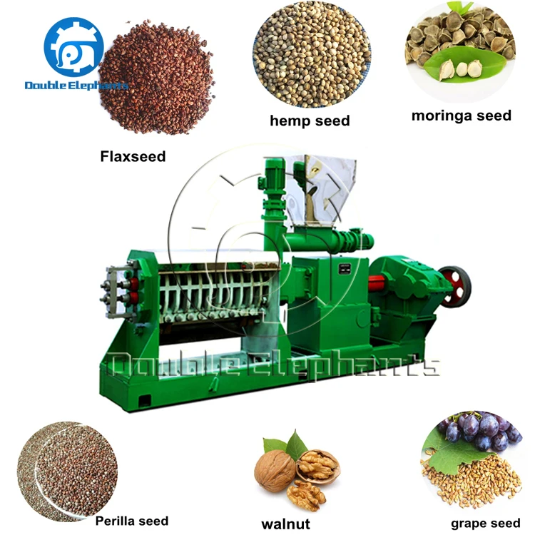 20t/D Twin Screw cold screw press oil machine cold press for oil seed peanut oil cold press