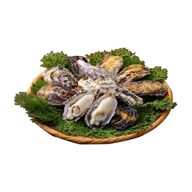 Стабильная поставка вакуумный пакет замороженное устричное мясо для аквакультуры из