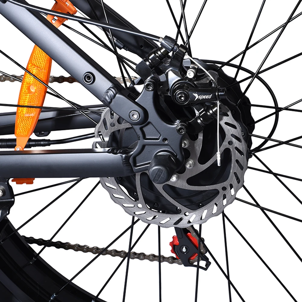 Non Folding E Bike 48V 1000W Brushless DC Hub Motor Electric Bike Bicycle