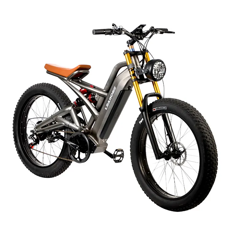 Best Price High Quality Manufacturer Grey Color 350/500/750/1000W Electric Bike Mountain Bike