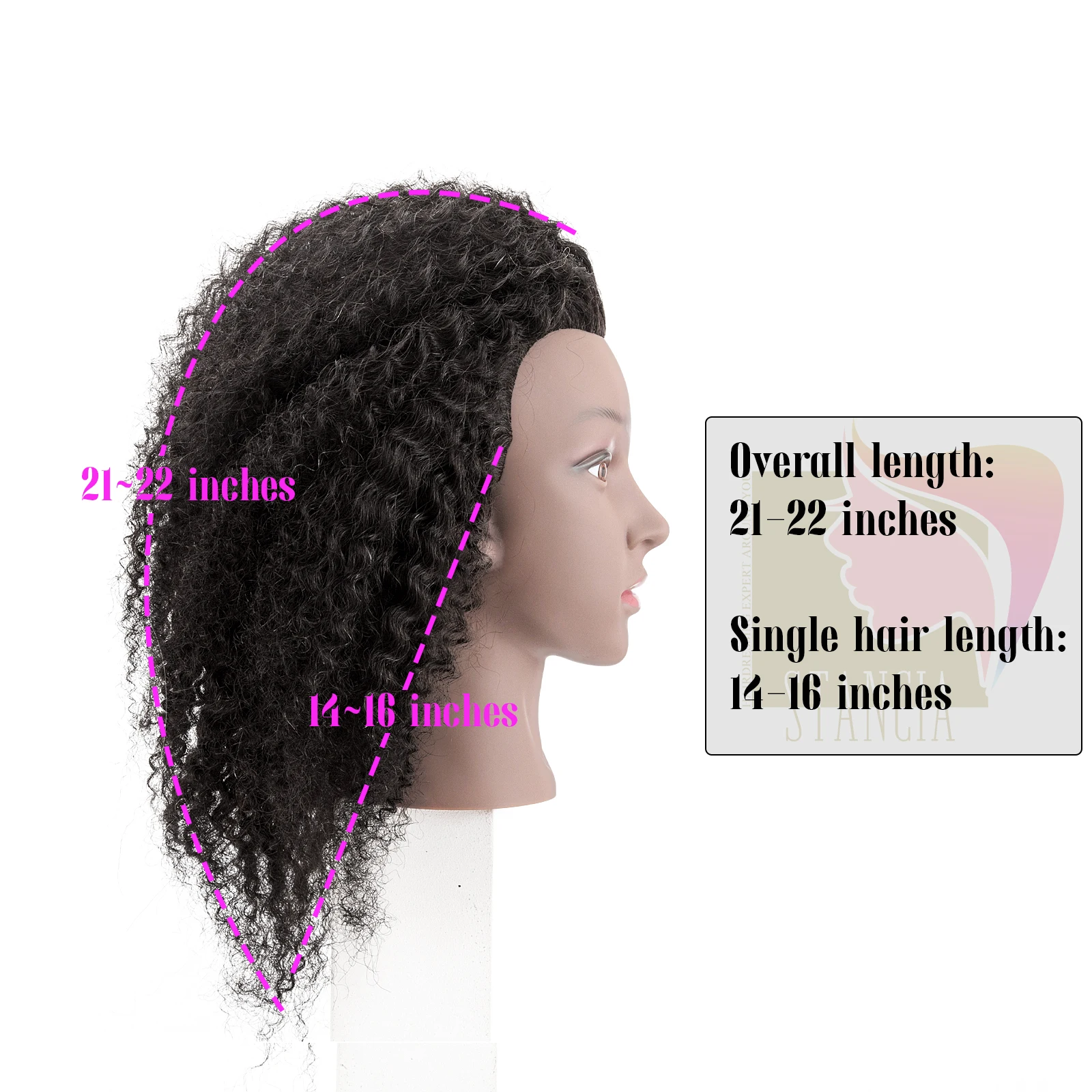 Cheap African Americans models, wholesale, head weaving, salon hair training
