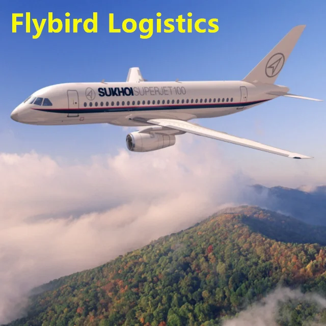 Professional air/sea/express freight forwarder shipping from china to Burkina faso