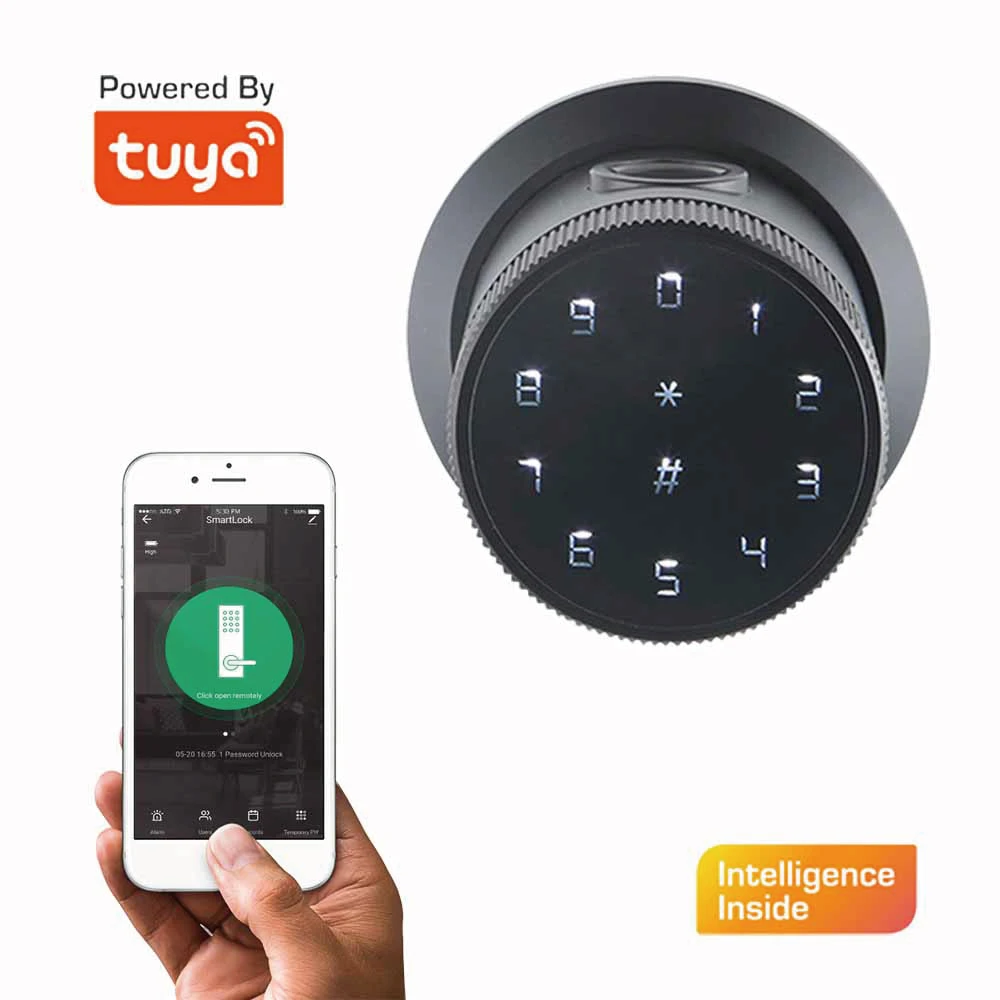 Canada Tuya Smart Deadbolt  App Fingerprint  Keyless Touchscreen Card Code  Digital Door Lock  Exterior Door