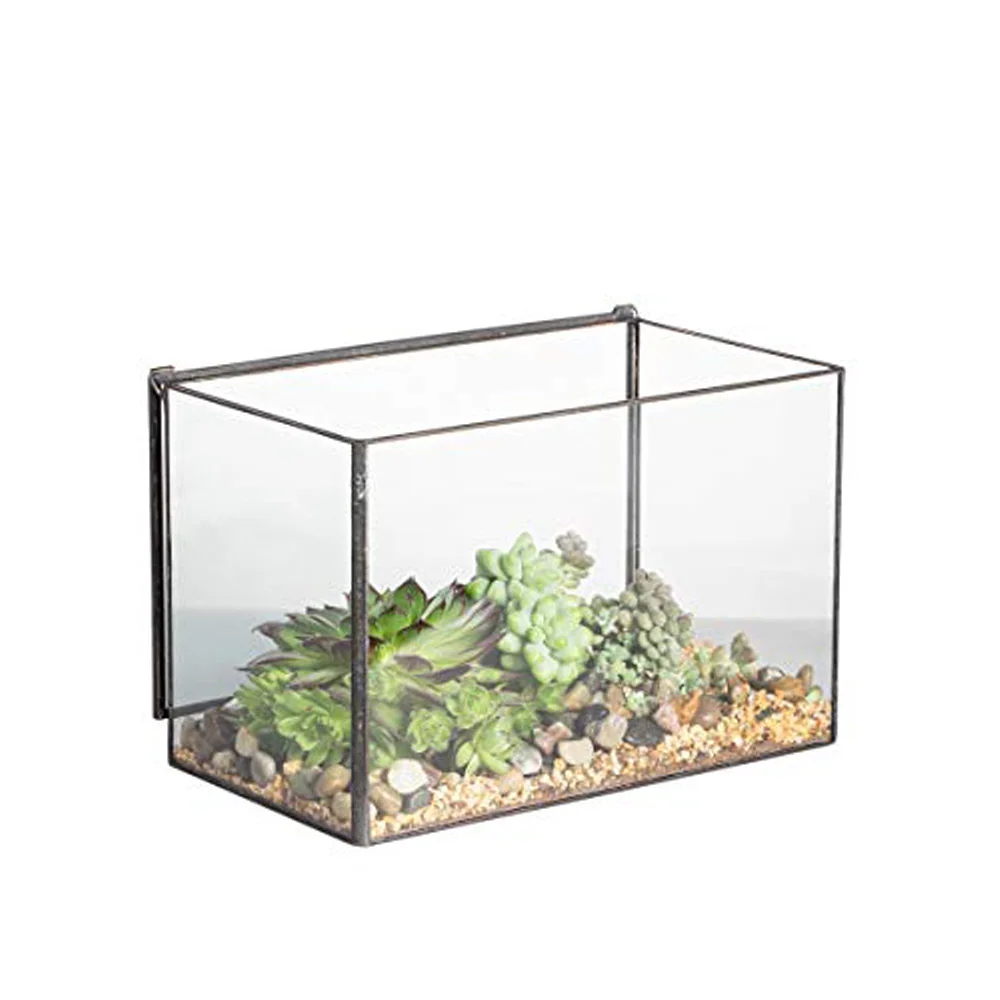 Luxury Rough Finish Terrarium on Hot Sale
