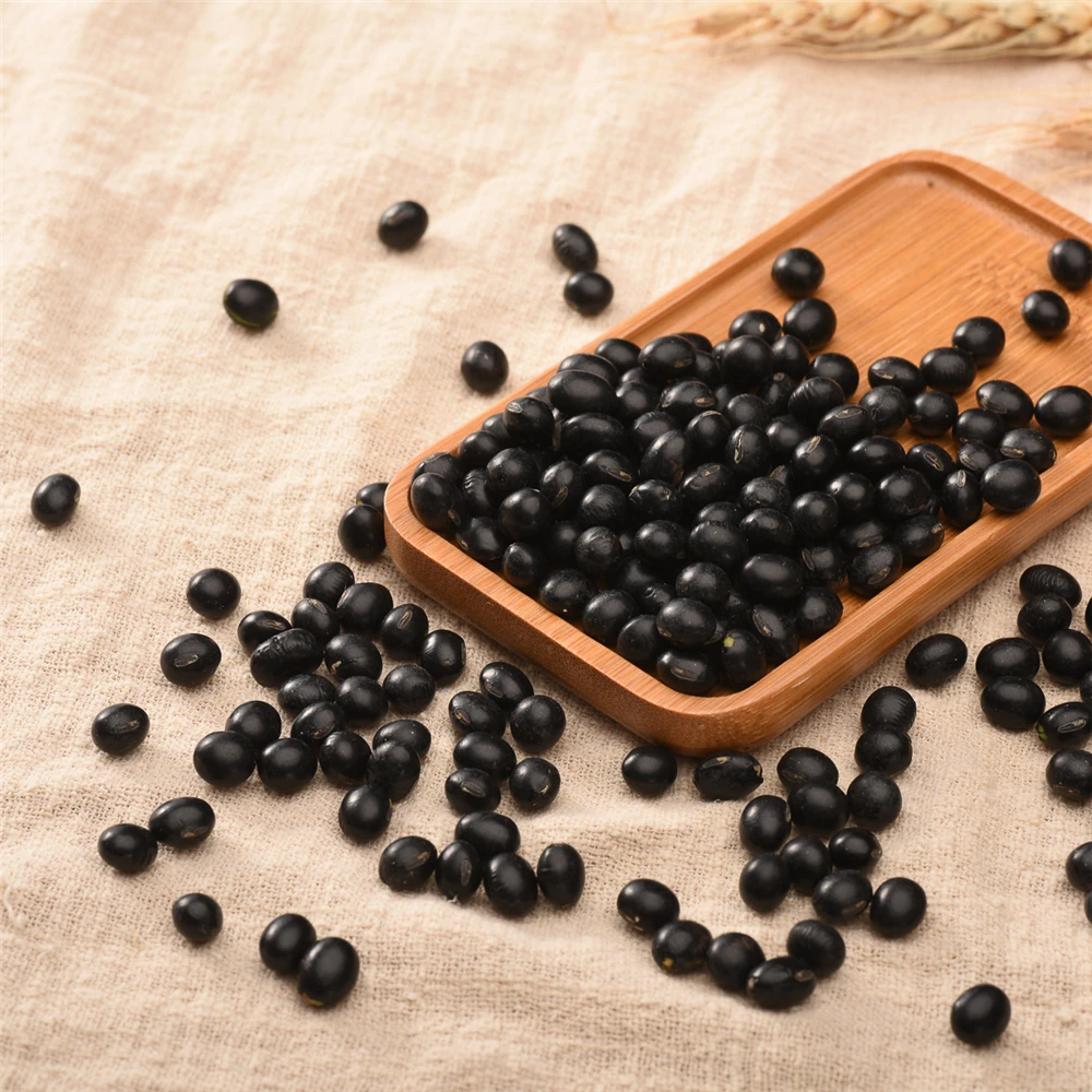 High Quality Black Soybean Soya Beans With For 25kg Bulk Bag  Sample Black Bean Wholesale Price