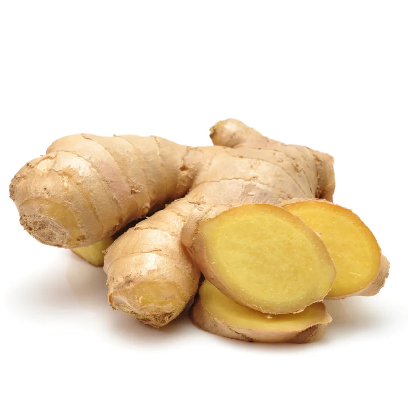 Wholesales New Fresh Ginger 40-600 cm in length Competitive Price Vietnamese Manufacturer Quality Small MOQ Samples Available