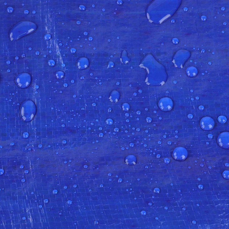 Customized cheap blue silver Plastic tarpaulin tarpaulin eyelet coating cover factory  Hot sale China tarpaulin waterproof