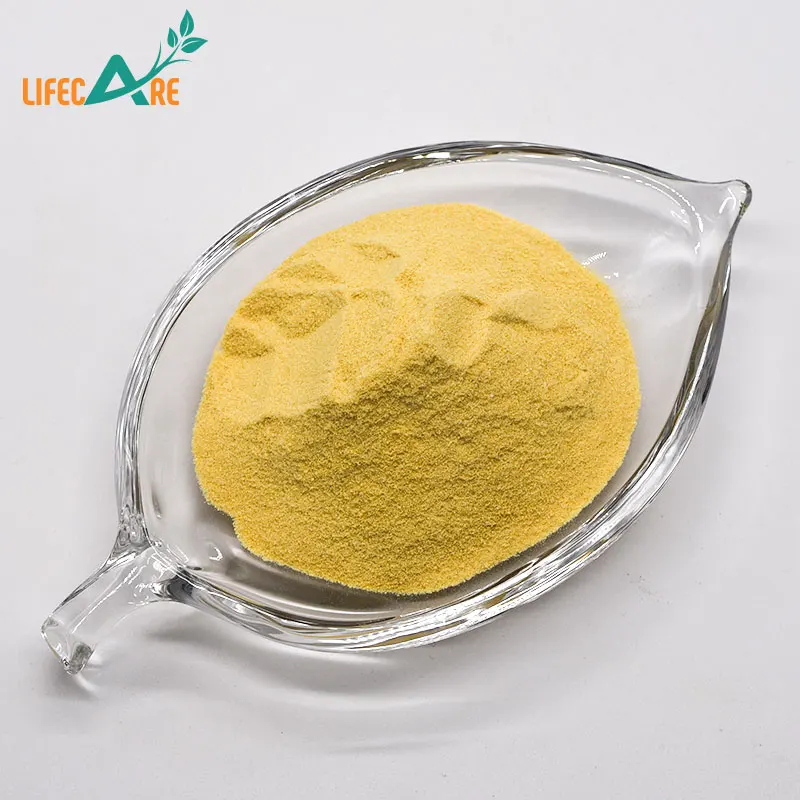 Factory Supply Bulk Blueberry Powder Fruit Juice