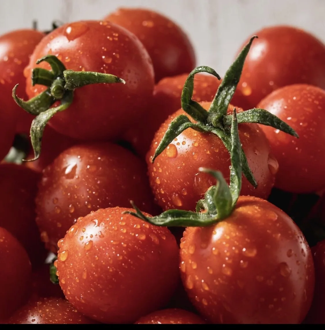Fresh Deliciously Tomato Bulk Packing Greenhouse for Tomatoes