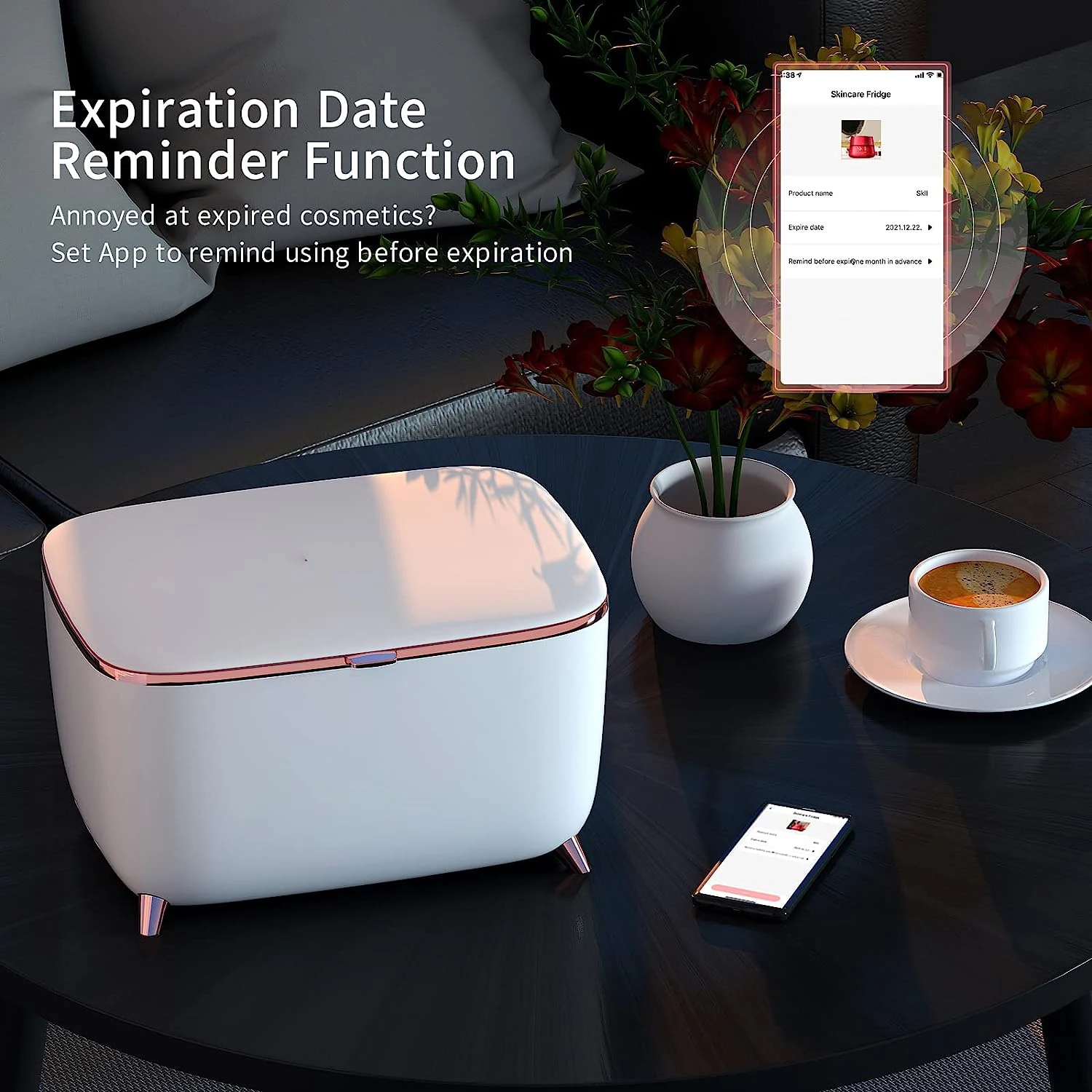 Portable Mini Fridge 9 Liter Beauty Makeup Skincare Fridge Cosmetics Refrigerator