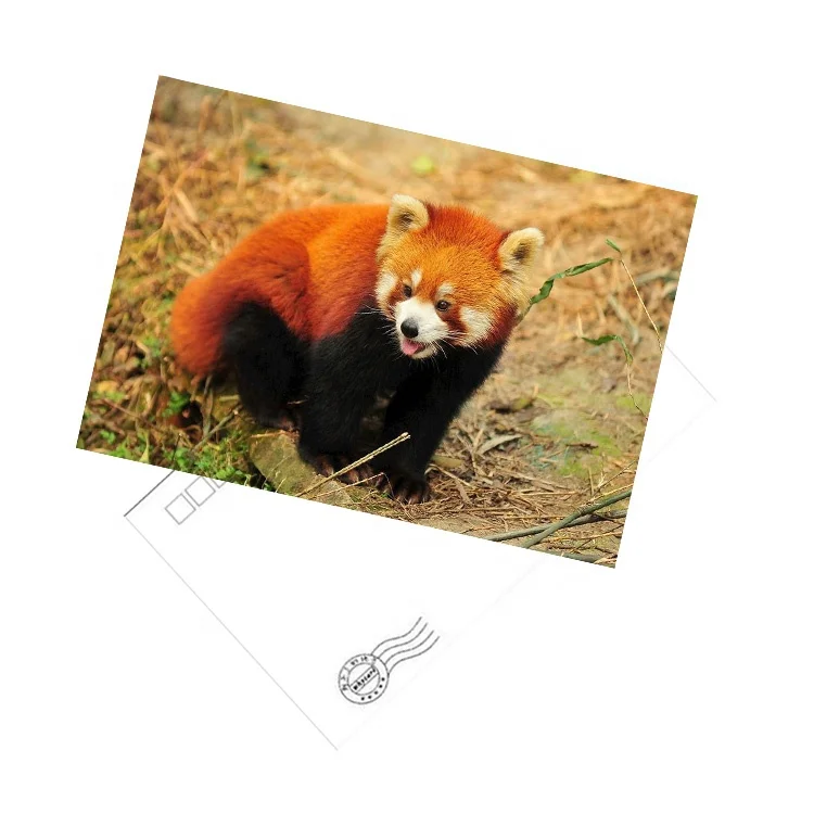 Individuality custom-made Travel gifts 3d postcard postcard book cardboard