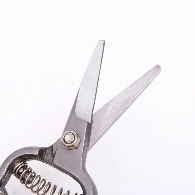 Custom Or Standard Competitive Price Forged Pruner