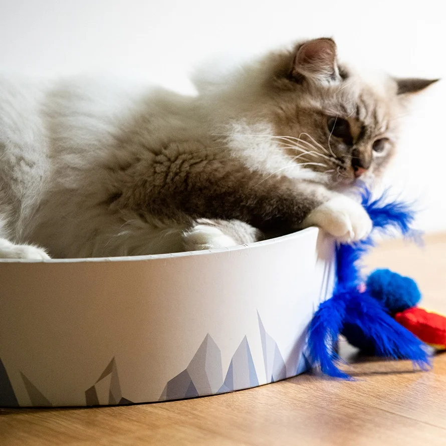 Игрушка для животных Лидер продаж Электронная Интерактивная игрушка кошек плюшевая имитация птиц игрушки товары домашних оптовая продажа