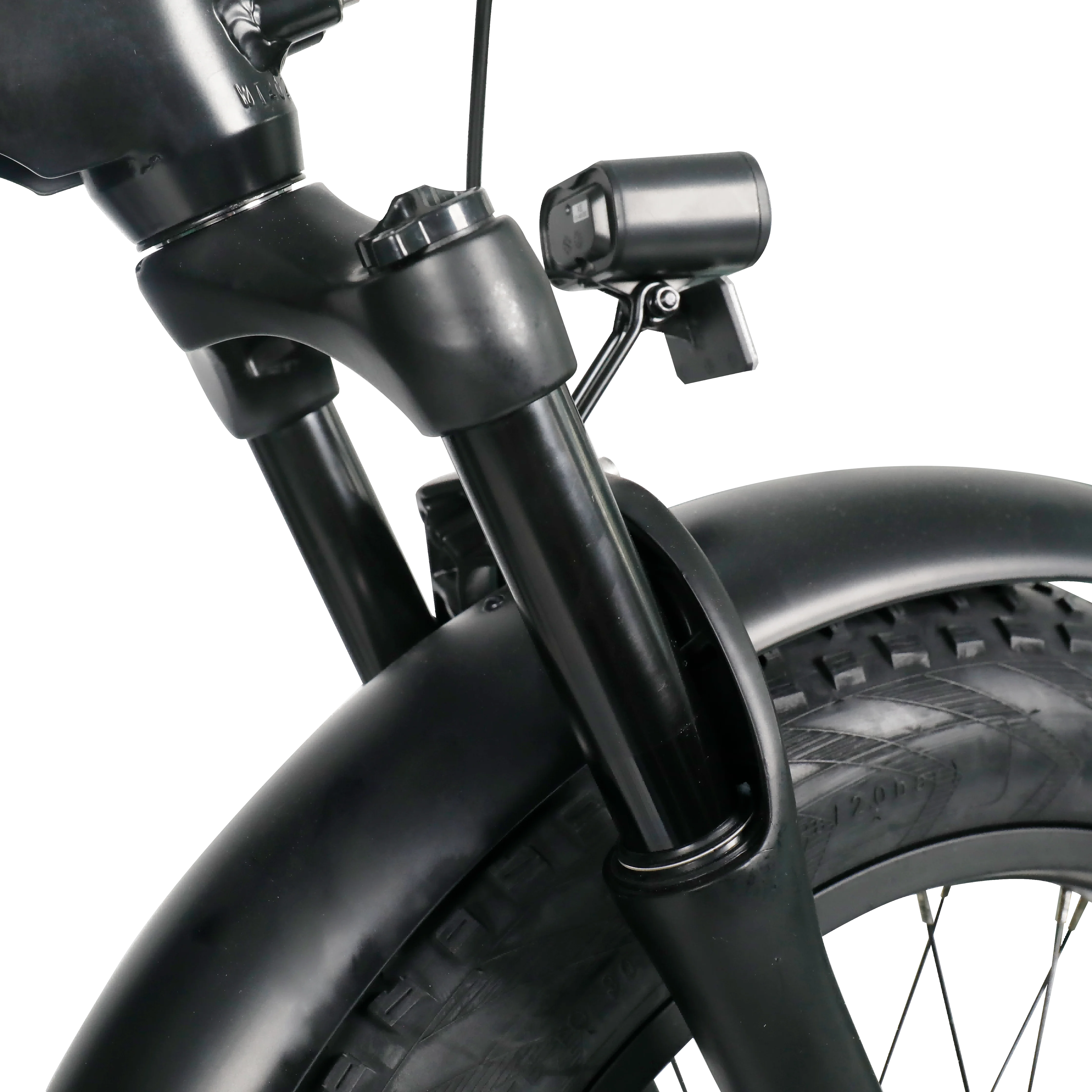 Заднее колесо 48 в 750 Вт двигатель fat ebike Электрический грузовой велосипед с педалью