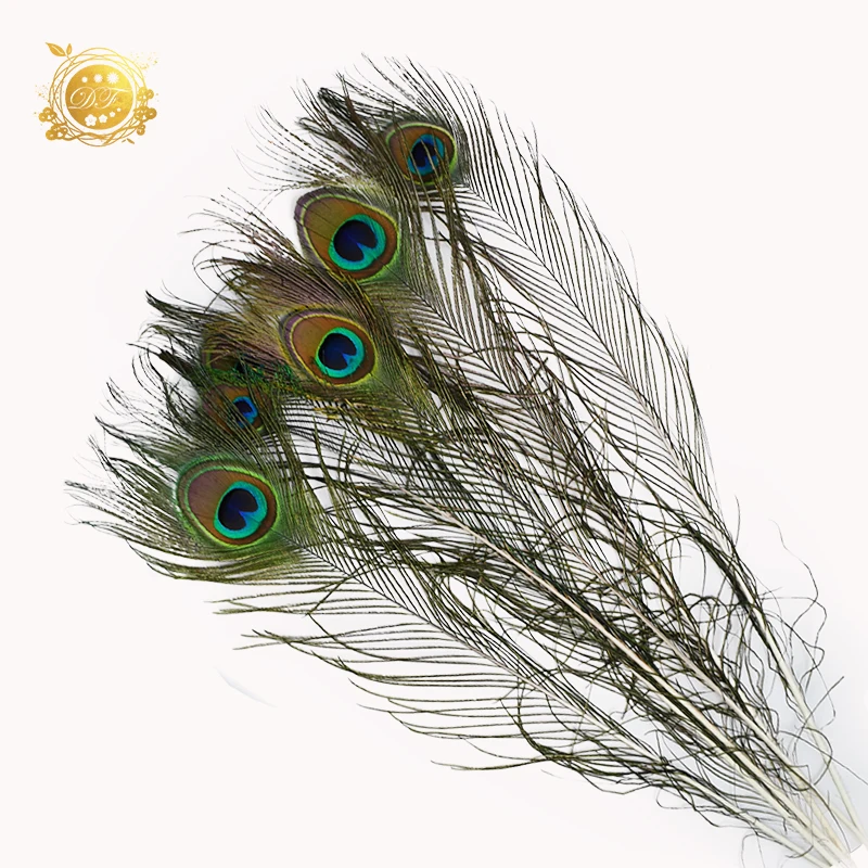 2022 high Quality Health Certificates Dyed synthetic 20-50 Inch Cheap Natural White Peacock Feathers For Sale