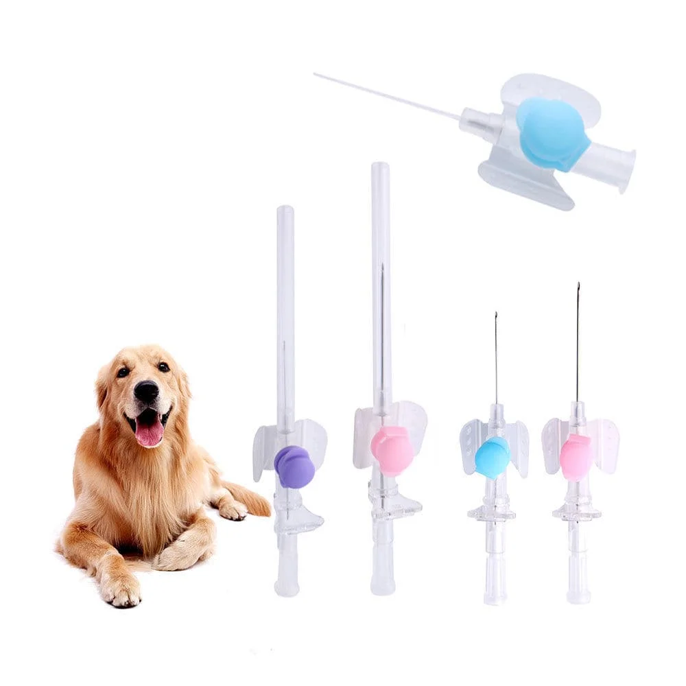 Sterile IV Cannula With Heparin Cap Disposable Butterfly IV Cannula Intravenous Injection Catheter Veterinary Consumables