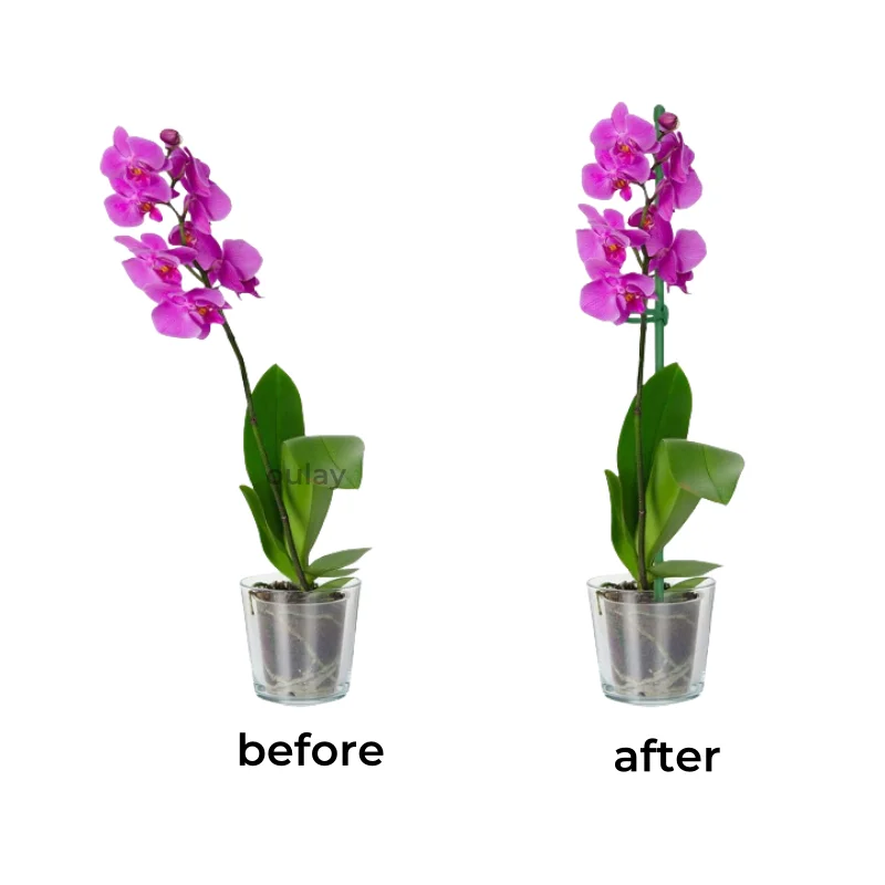 6.3mm or 7.8mm  30~90cm Garden Plant Support Pile  Resistant Bend Fiberglass Sticks   With Ring Buckles ( Price negotiated)