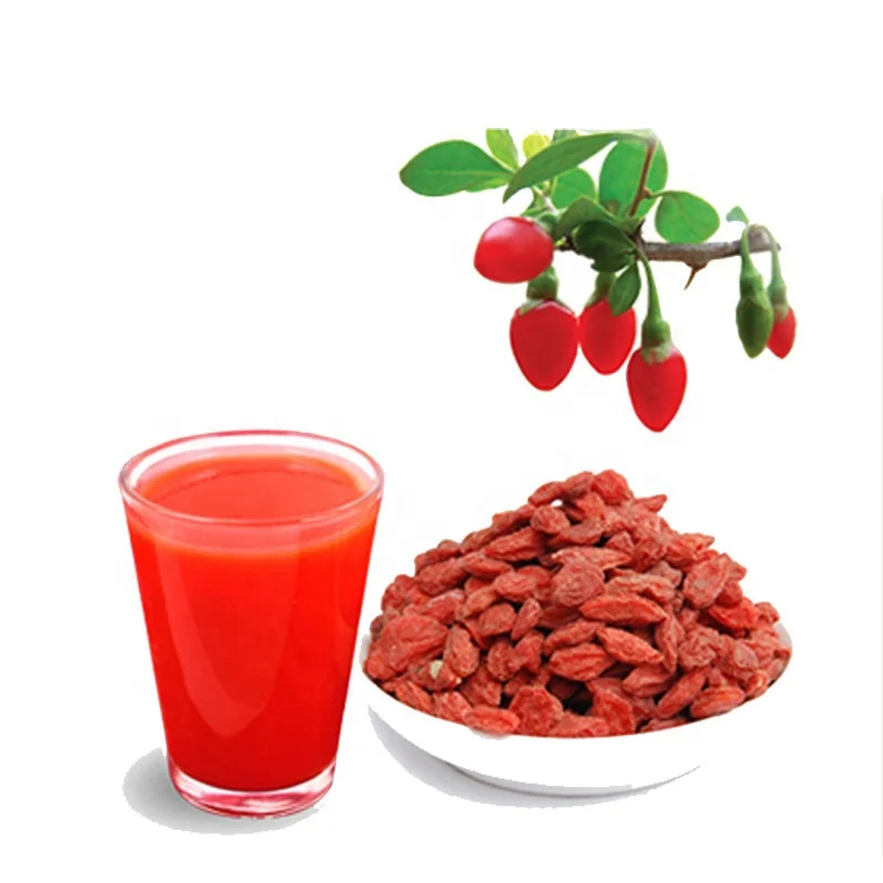 
100% Natural dried fruit extract gogi berry powder 