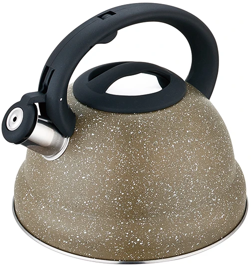 Black Nylon handle water kettle stainless steel stove top kettle