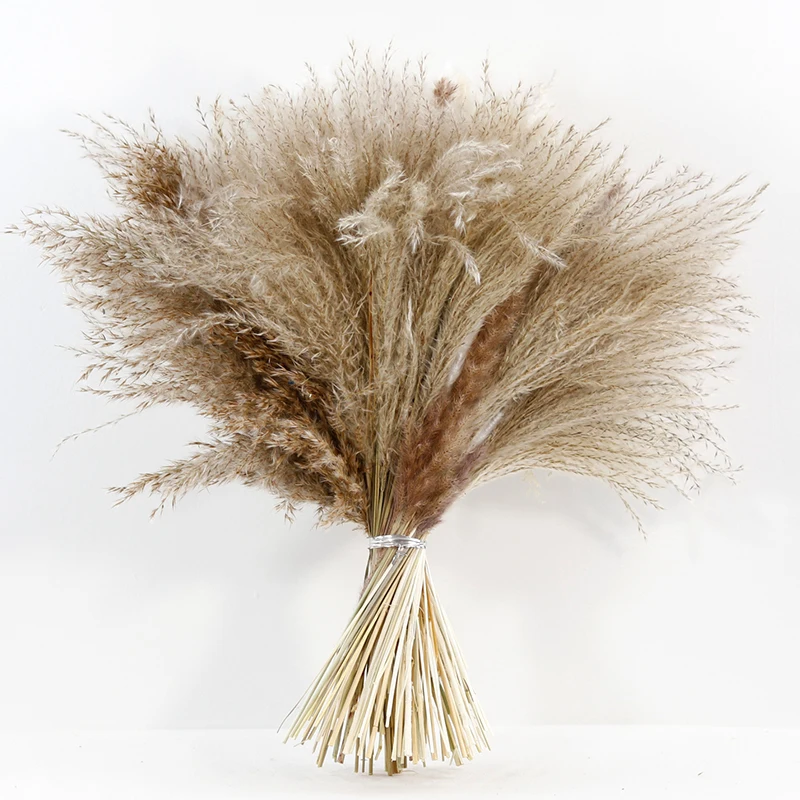 CH-029 reasonable price golden ball lagurus ovatus Rabbitail herb mixed  fluffy feather pampas grass dried flowers bouquet