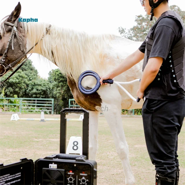 Kaphatech New Inventions For Horse PMST Loop Pemf Magnetic Therapy Device Horse Ankle Rehabilitation Equipment