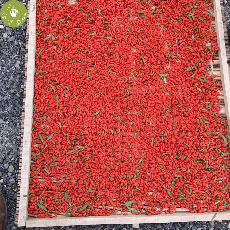 China brands organic bulk wholesale 100% Ningxia Goji Berries the best goji