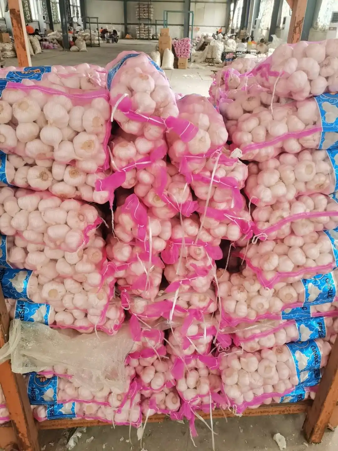 fresh garlic 10kg PACKAGE wholesale export