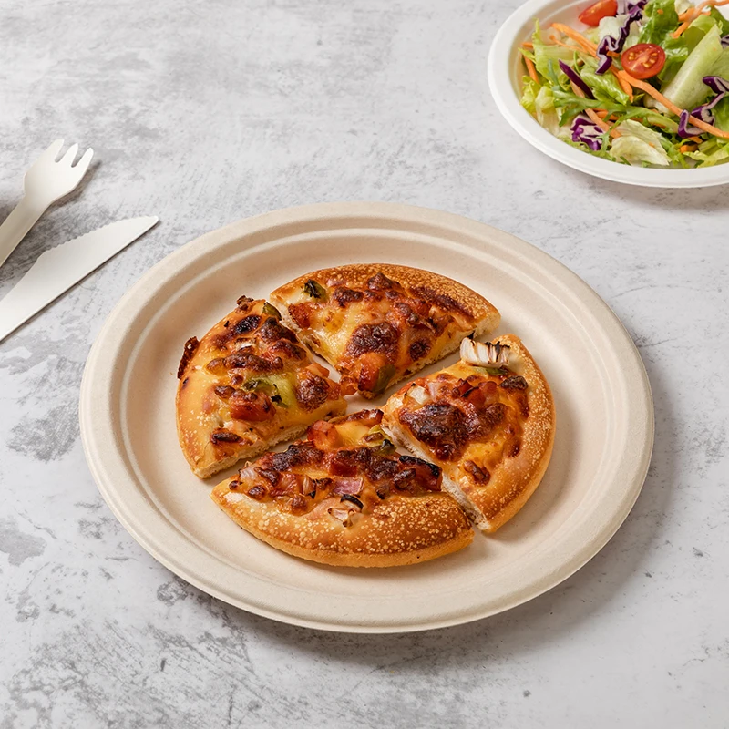 Custom 100% Compostable 9 10 Inch Round Heavy Duty Plates Sugarcane Paper Plates 3 Compartment Eco-friendly Disposable Camping