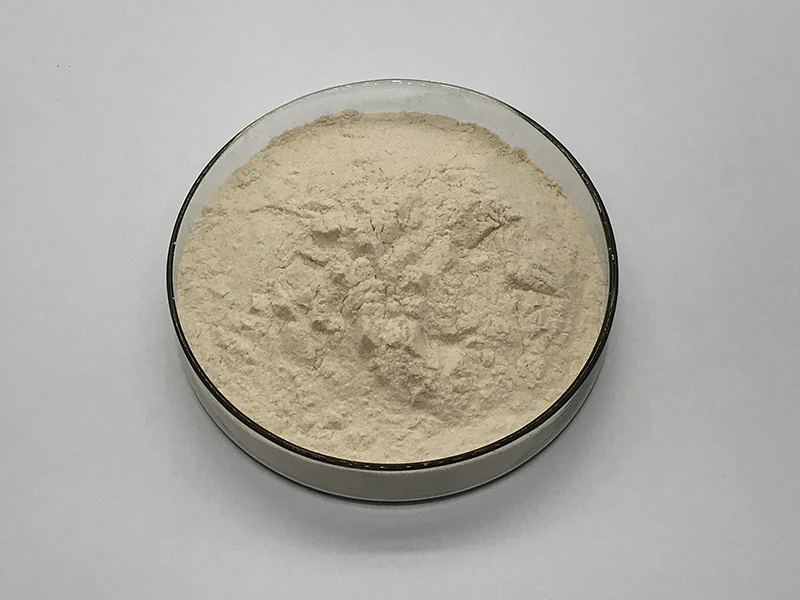 
Food Grade High Quality Hemicellulase Enzyme 