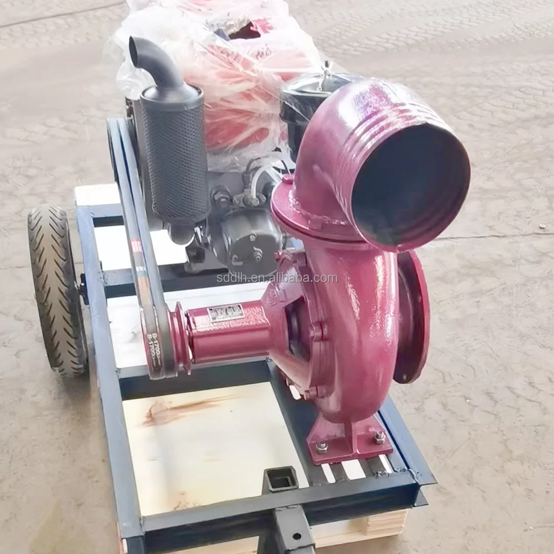 ZS1115 Diesel Engine Cheap Price Diesel Engine with 24HP Water Cooled Single One Cylinder