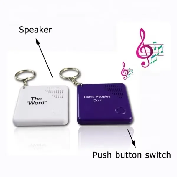 Custom logo Plastic Recordable Sound Keyring,Mini Oval Voice Music Talking Keychain for the blind promotion photo Printed
