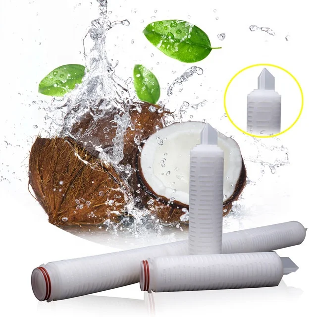 Multiple Layers Nylon 66 Pleated Filter Cartridge 0.22/0.45 Micron with Good adsorption of protein Interface with DOE 222 226