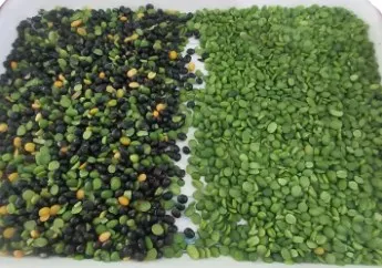 High Efficient 7 Chutes 6-14 ton Capacity Corn Sorting Machine Sesame Quinoa Seed Color Color Sorting Machine Price