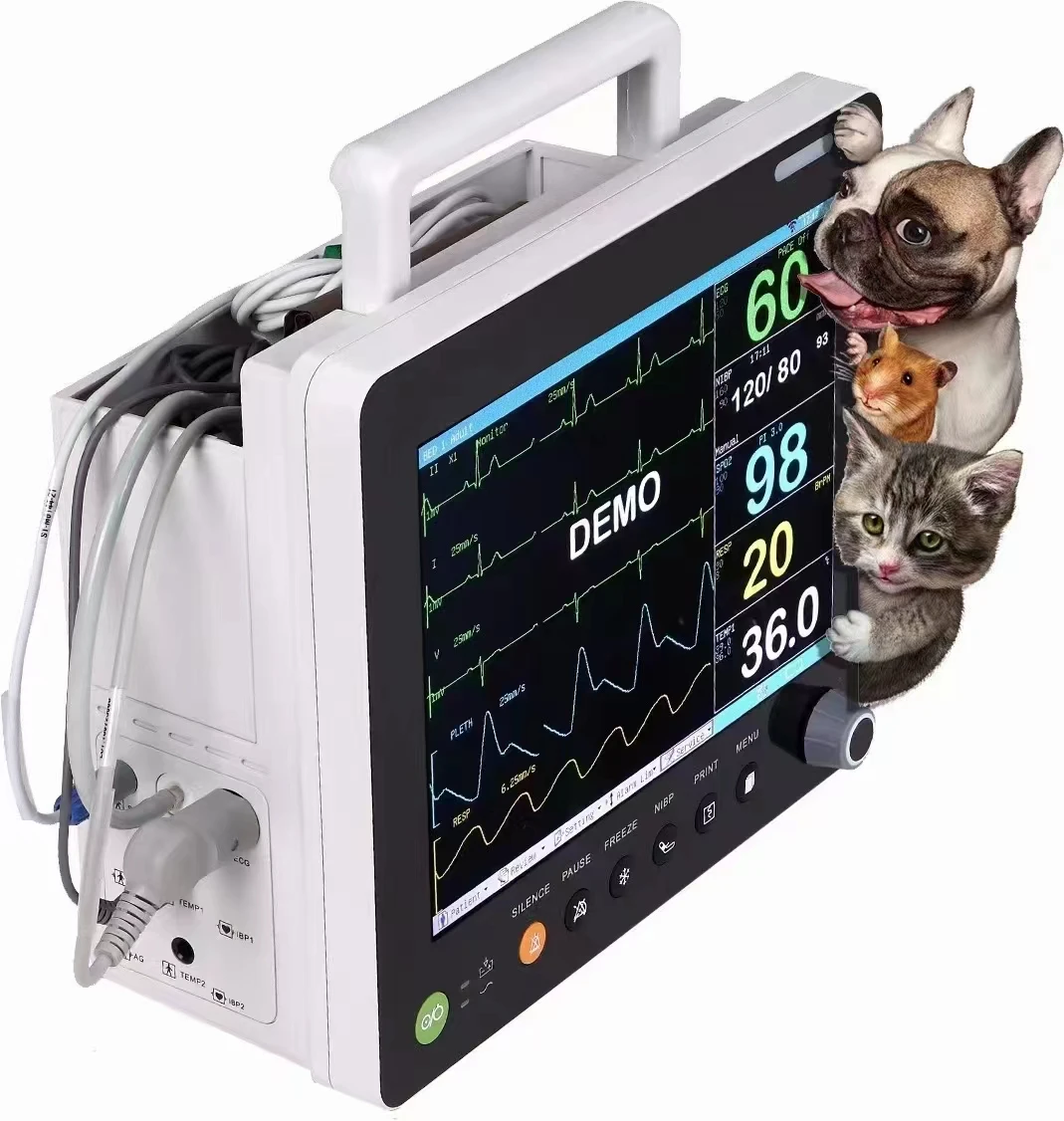 High Quality Animal Clinic Use Vet Monitoring Veterinary Monitor Multi-parameter Patient with Capnography