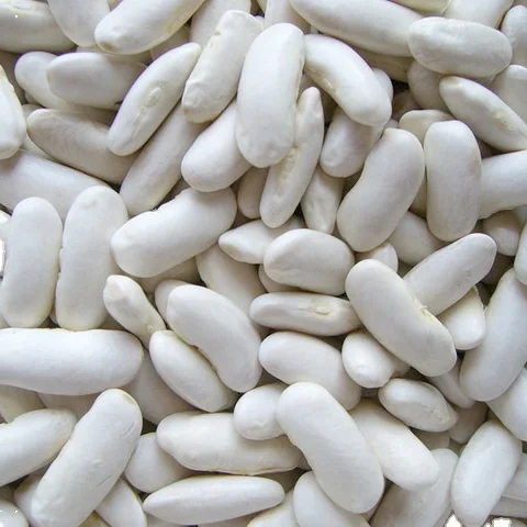 Белые Бобы лучшего качества по низкой цене