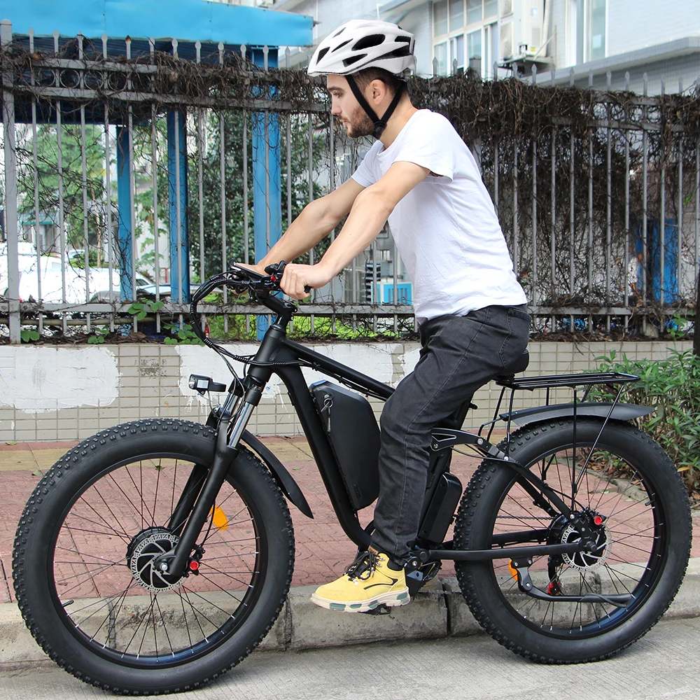 Chinese Manufacturer 48V 1000W Motor Powerful Ebike Battery Electric Bicycle Electric Bike Adult