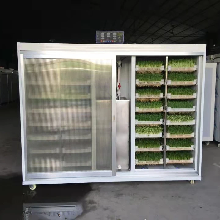 Sprout machine for salad green making