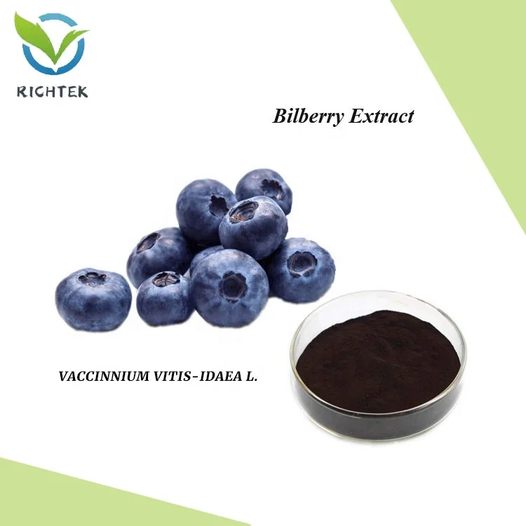Factory Supply  Natural Extract Certified Fine  Bilberry Pure 100% Bilberry Extract Powder