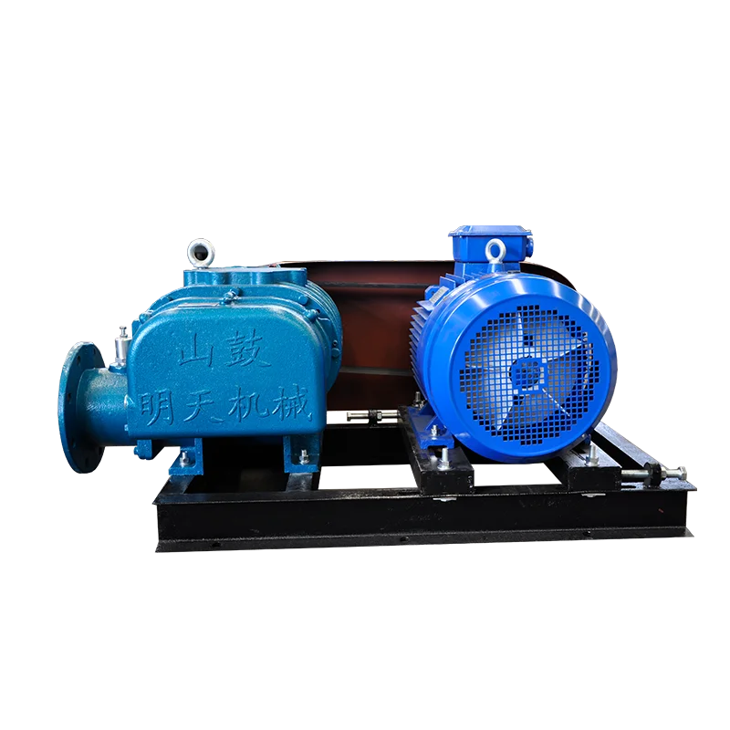 RSR Воздуходувка Рутс для увеличения быстроты откачки