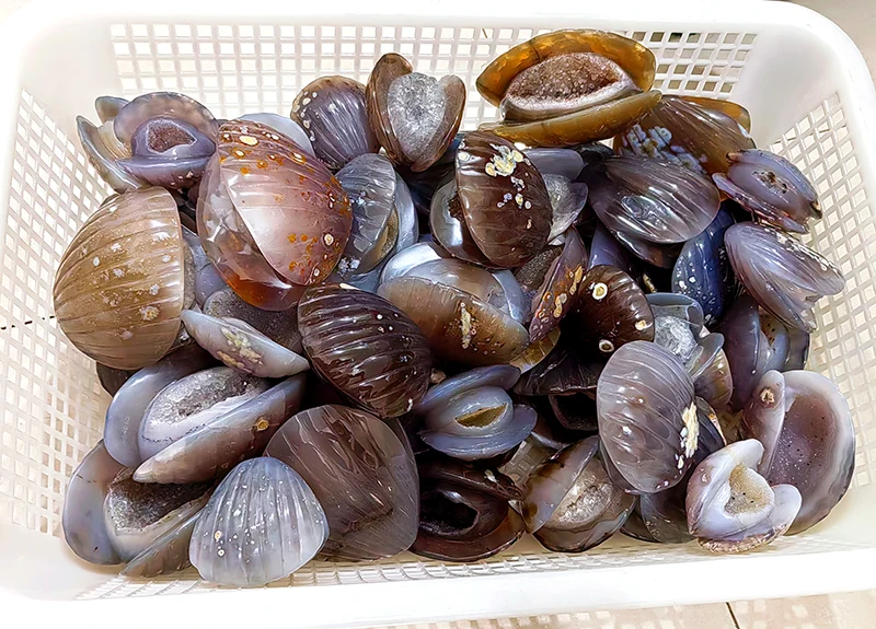 Factory price Wholesale crystal carving shell healing crystal carved Sea shell  crystal crafts agate conch shell for gift