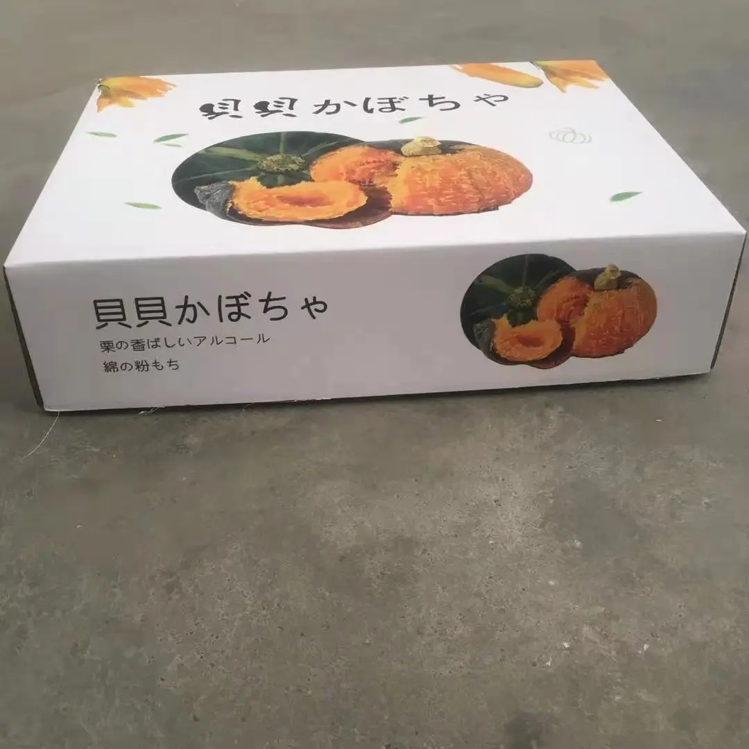 New product fresh vegetable sweet baby food 100% natural new picked green mini Beibei pumpkin