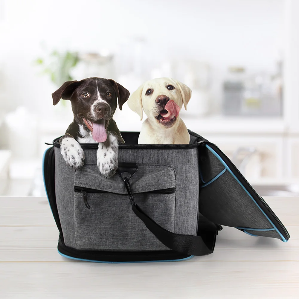 Pet Carrier Backpack for Small Dogs and Cats Airline-Approved, Designed for Travel, Hiking, Walking & Outdoor Use