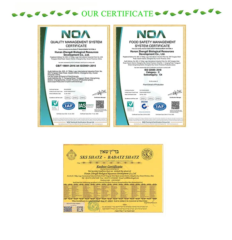 Wholesale Bulk Wheatgrass Powder Organic Barley Grass Supergreen Blend natural