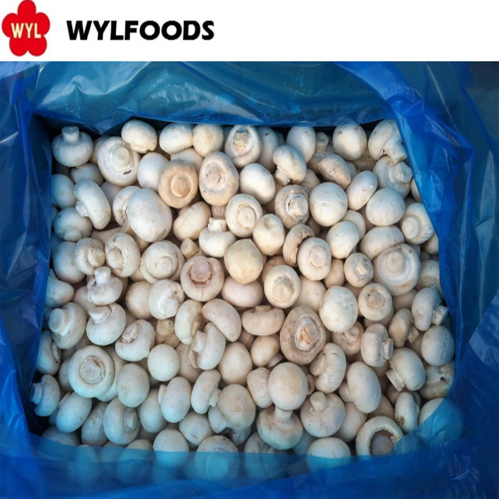 Shelf-Stable frozen Champignons cultivated mushrooms price