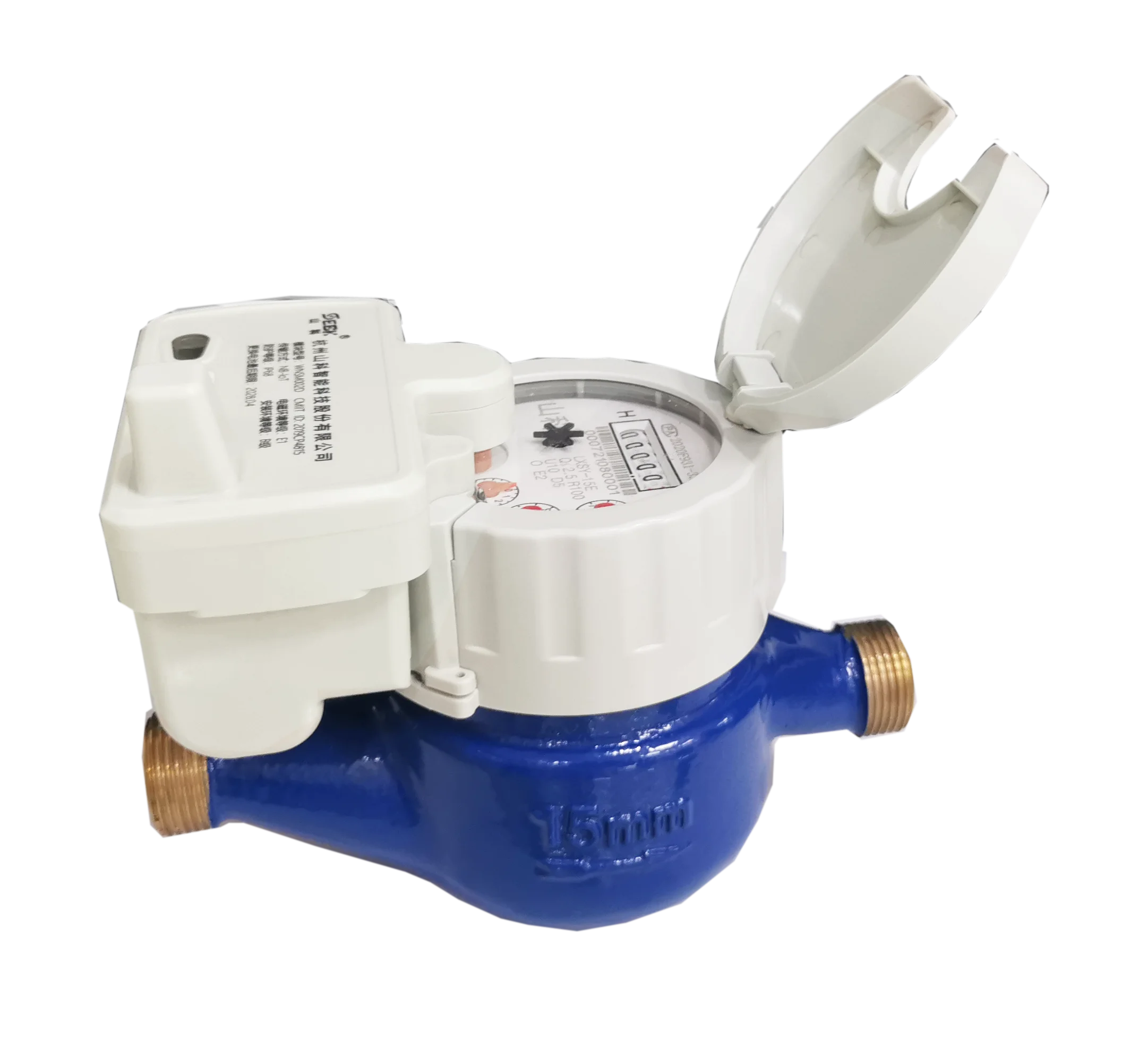 AMR/AMI Remote Read Digital Water Meter