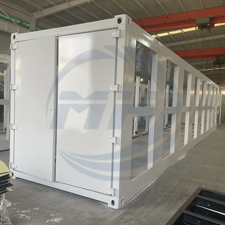 Custom energy reserves container offshore container 20ft shipping container